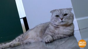 "Праздничные акции" от мошенников. Доброе утро. Фрагмент выпуска от 12.01.2026