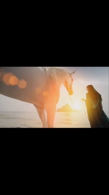 Песни востока смотреть онлайн