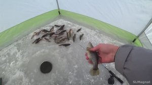 рыбачу на МЯСО!ТОЛЬКО ЗАКИНУЛ...ЧЁРНЫЙ КРУПНЯК ХАПНУЛ! Первый лёд и МЯСО!