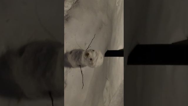 просто смотреть онлайн