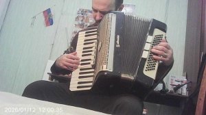 Аккордеон:  "Во саду ли в огороде"