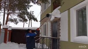 Уральская зимовка растений в объективе, а после салат "Мимоза"