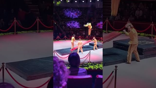 Классные акробаты в шоу воды огня света Брянский цирк смотреть онлайн