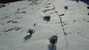 Неожиданный день 13 января. Что готовит день.