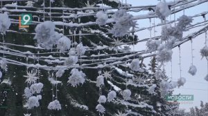 Пенсии и пособия, новые профессии и знаки дорожного движения: в силу вступил ряд федеральных законов