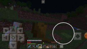 XRecorderLite_12012026_162600.mp4