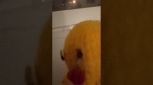 Ципа разбил самолёт.