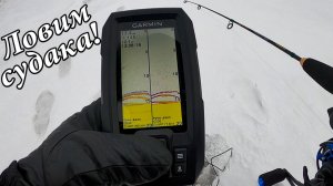 Ловим СУДАКА со льда с эхолотом Garmin Striker Vivid 4 CV