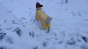 АНАПА. ОПЯТЬ ВЫПАЛ СНЕГ ❄️❄️❄️
12.01.2026.