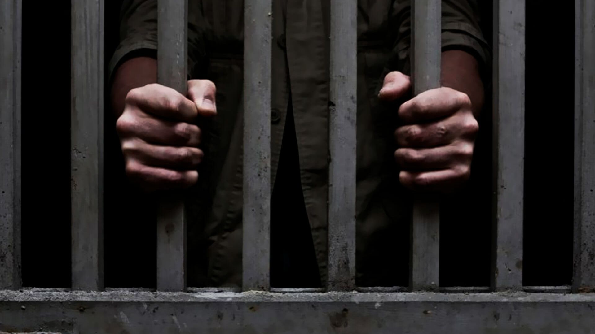 🔴В Питере ректора вуза отправят на скамью подсудимых за незаконную легализацию 501 мигранта🔴 смотреть онлайн