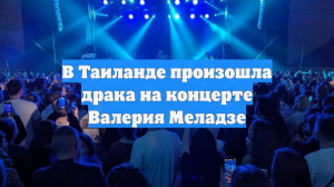 Очевидцы сняли на видео драку на концерте Валерия Меладзе на Пхукете