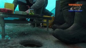 Рыбалка в Казахстане, озера Кураксу 9-ка 02.01.26