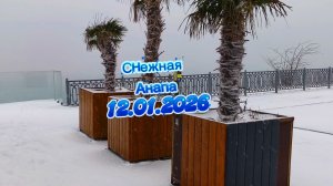 Снежная Анапа 12.01.2026