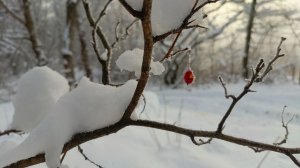 Потрясающе красивая зимняя природа Краснодарского края клип на песню степь да степь кругом.