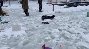 12.01.26 г. РК Волна.