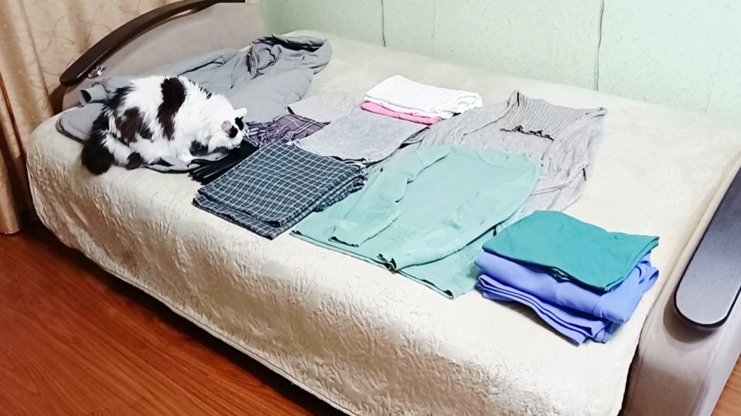 Скоро на море/Одежда для отдыха в Адлере зимой/Приготовила печёнку с луком смотреть онлайн