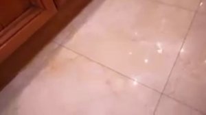 что-то живёт в нашем подвале А4!!??!???