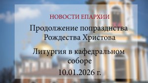 Продолжение попразднства Рождества Христова. Литургия в кафедральном соборе Михайлова(10.01.2026 г.)
