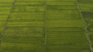 SHILLA MONOGRAM QUANGNAM DANANG RESORT 5* | 316000.ru - лучшие цены на Ваши путешествия!