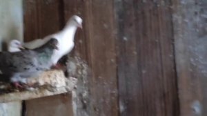 в гостях канал москва-23.