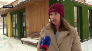 Пункты приема хвойных деревьев открыты в Тюмени