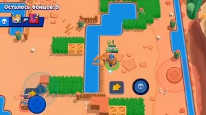 браво Стаса