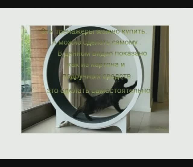 КОЛЕСО--ТРЕНАЖЕР ДЛЯ КОШКИ смотреть онлайн