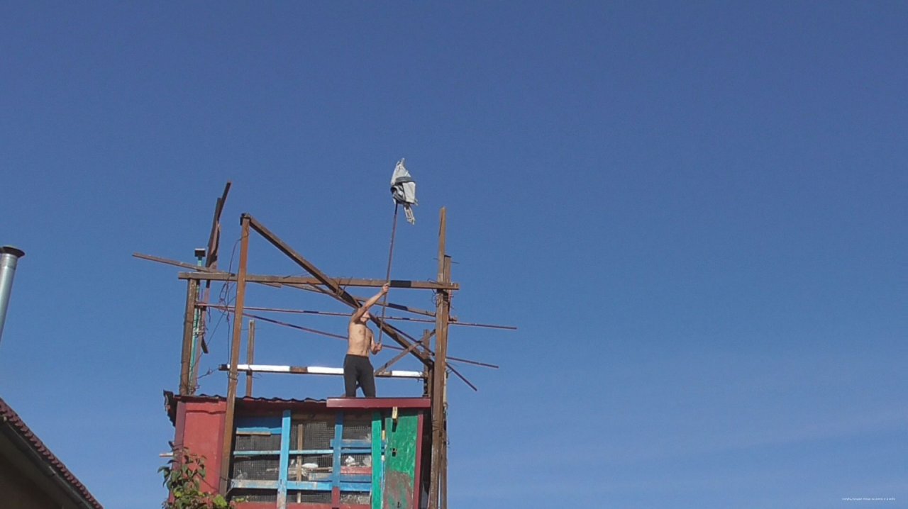 ГОНЯЕМ ГОЛУБЕЙ смотреть онлайн