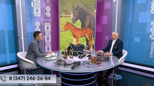 Хәйерле иртә, Республика! - 12.01.2026 Башҡорт йылҡыһы  киләсәге