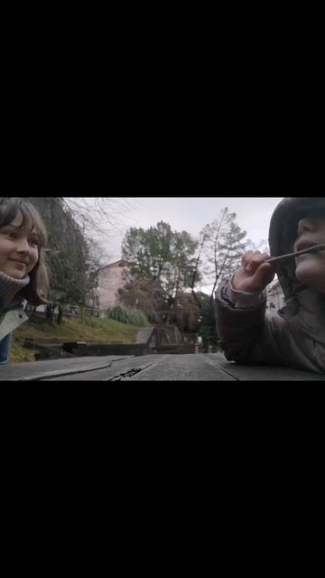 сидим с бобром за столом смотреть онлайн