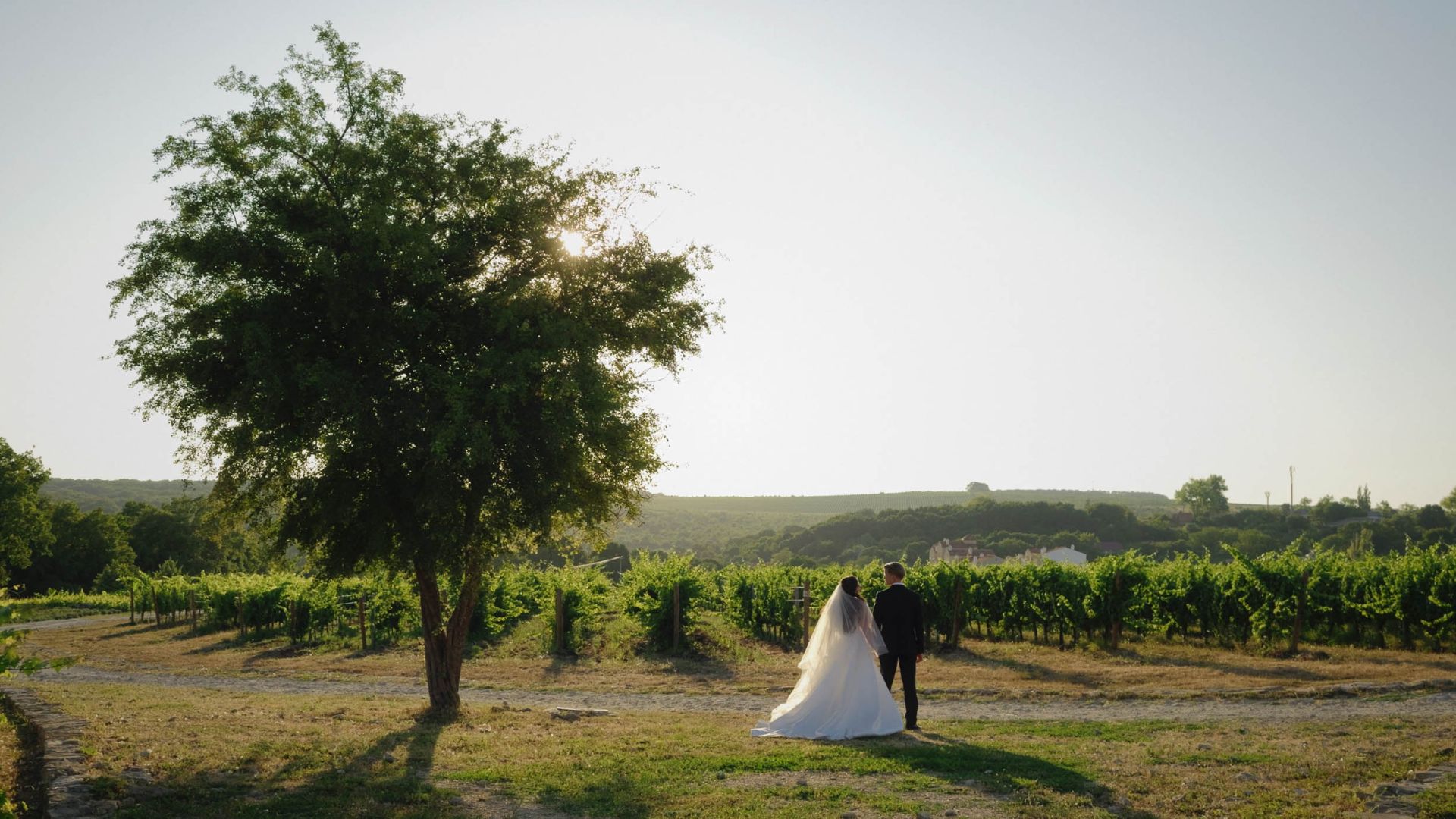 Ролик 220725 смотреть онлайн