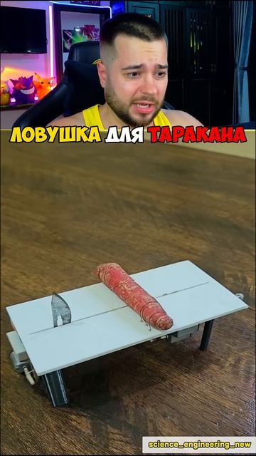 Новая Ловушка Для ТАРАКАНА #shorts #шортс #марти смотреть онлайн