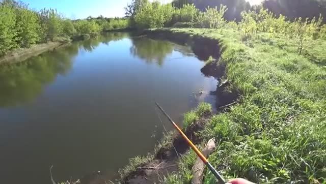 ОТ ЭТИХ ПОКЛЁВОК ЗАХВАТЫВАЕТ ДУХ И МУРАШКИ ПО КОЖЕ! Рыбалка на утренней зорьке. смотреть онлайн