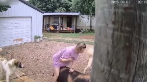 Моменты, Которые Пошли не По Плану