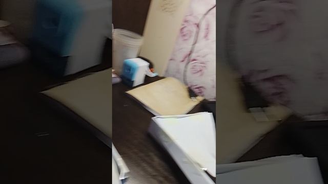 драконы смотреть онлайн