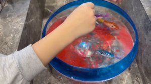 Новые игрушки в моей коллекции рыбок роботов ZURU robo ALIVE Обзор запуск в аквариум