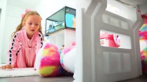 Пять милых питомцев — забавные истории с животными