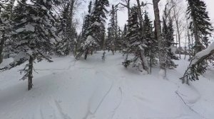 Первый день. 11.01.26.Шерегеш