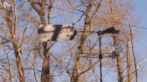 ЦСКА РЯДОМ. Сергей из Алтайского края.