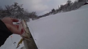 ОСТАВИЛ ЖЕРЛИЦЫ В НОЧЬ!ТРУДОВАЯ РЫБАЛКА ПОЛУЧИЛАСЬ!