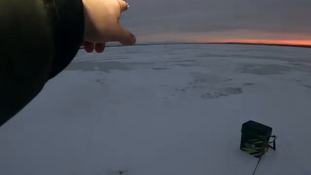 ПРОВЕРКА САМОЛОВОК НА ОЗЕРЕ смотреть онлайн