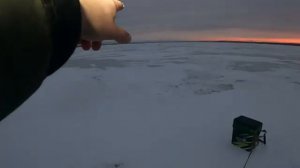 ПРОВЕРКА САМОЛОВОК НА ОЗЕРЕ