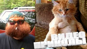 ПРИКОЛ \ ПОДБОРКА ПРИКОЛОВ Я РЖАЛ ДО СЛЕЗ, ЛУЧШИЕ ПРИКОЛЫ 2025 СМЕШНЫЕ ВИДЕО, ДЕВУШКИ , ПОДБОРКА