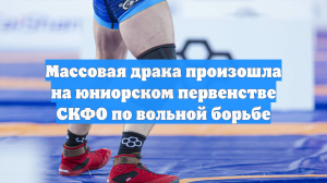 Массовая драка произошла на юниорском первенстве СКФО по вольной борьбе