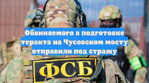 Обвиняемого в подготовке теракта на Чусовском мосту отправили под стражу