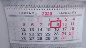 Кормлю птичек//Завтракаю и одновременно обедаю//10.01.26//Жизнь в провинции//Россия 🇷🇺//