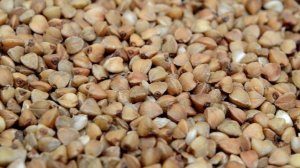 Россия вышла на первое место по поставкам гречки в США