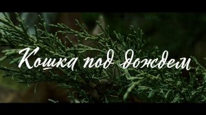 КОШКА ПОД ДОЖДЕМ