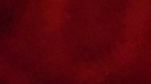 моя кошка вот такая шатланская веслаузая