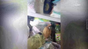 ФСБ предотвратила теракт на железнодорожном мосту в Пермском крае, планировавшийся киевским режимом